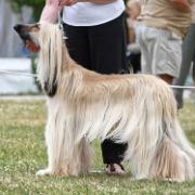 Tulak Legally Blonde at Calamayor