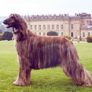 Tulak Fatal Attraction For Zarzakos JW