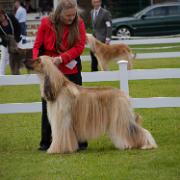 Ch.Tulak Under Siege JW ShCM