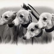 Holly and Sisters head study