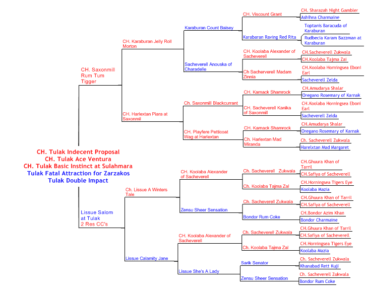Demi and willis pedigree