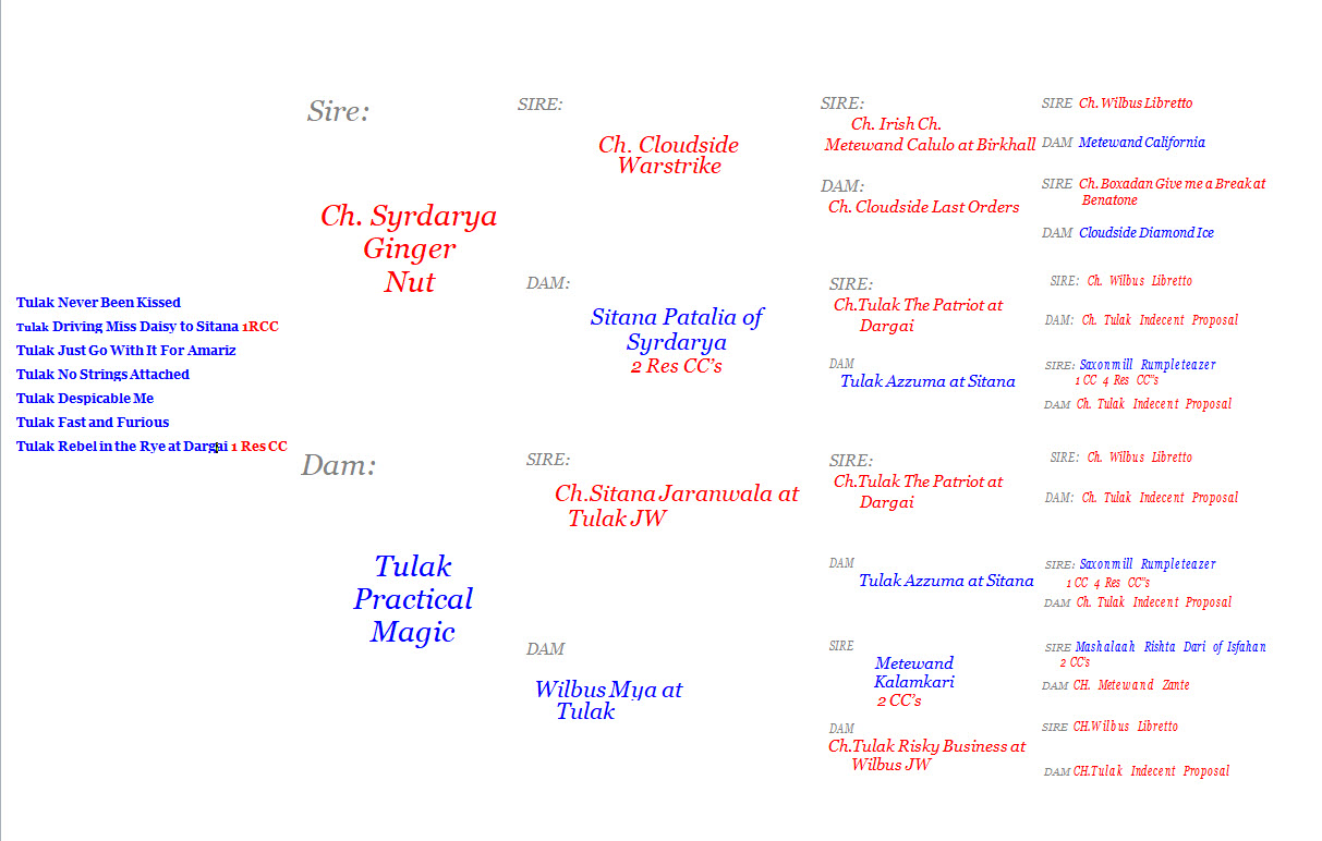 Hamish and Isla Pedigree1