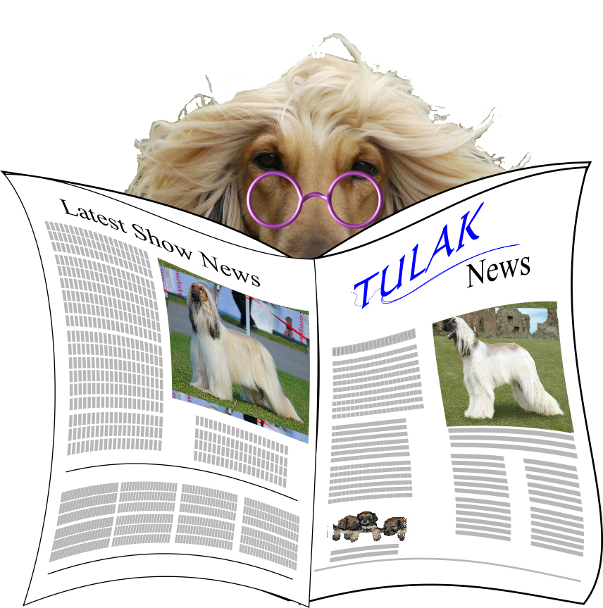 Tulaknews