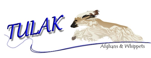 Vals new banner josh2016