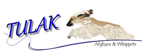 Vals new banner josh3