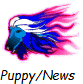 Puppy/News 