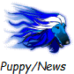 Puppy/News 
